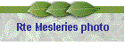 Rte Mesleries photo