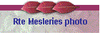 Rte Mesleries photo