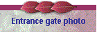 Entrance gate photo
