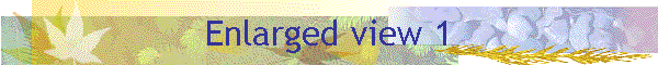 Enlarged view 1