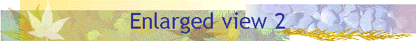 Enlarged view 2
