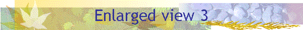 Enlarged view 3