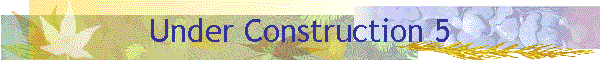 Under Construction 5