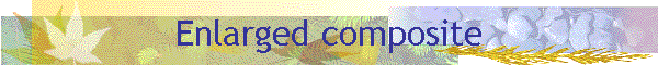 Enlarged composite