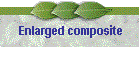 Enlarged composite