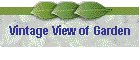 Vintage View of Garden