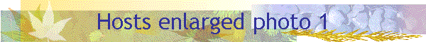 Hosts enlarged photo 1