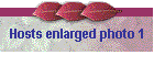 Hosts enlarged photo 1