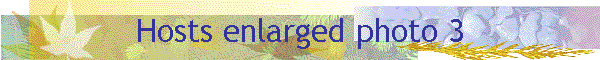 Hosts enlarged photo 3