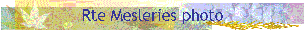 Rte Mesleries photo