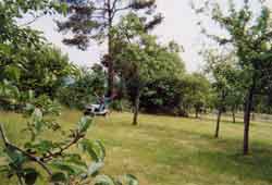 orchard-lawnmower-1-small.jpg (6075 bytes)